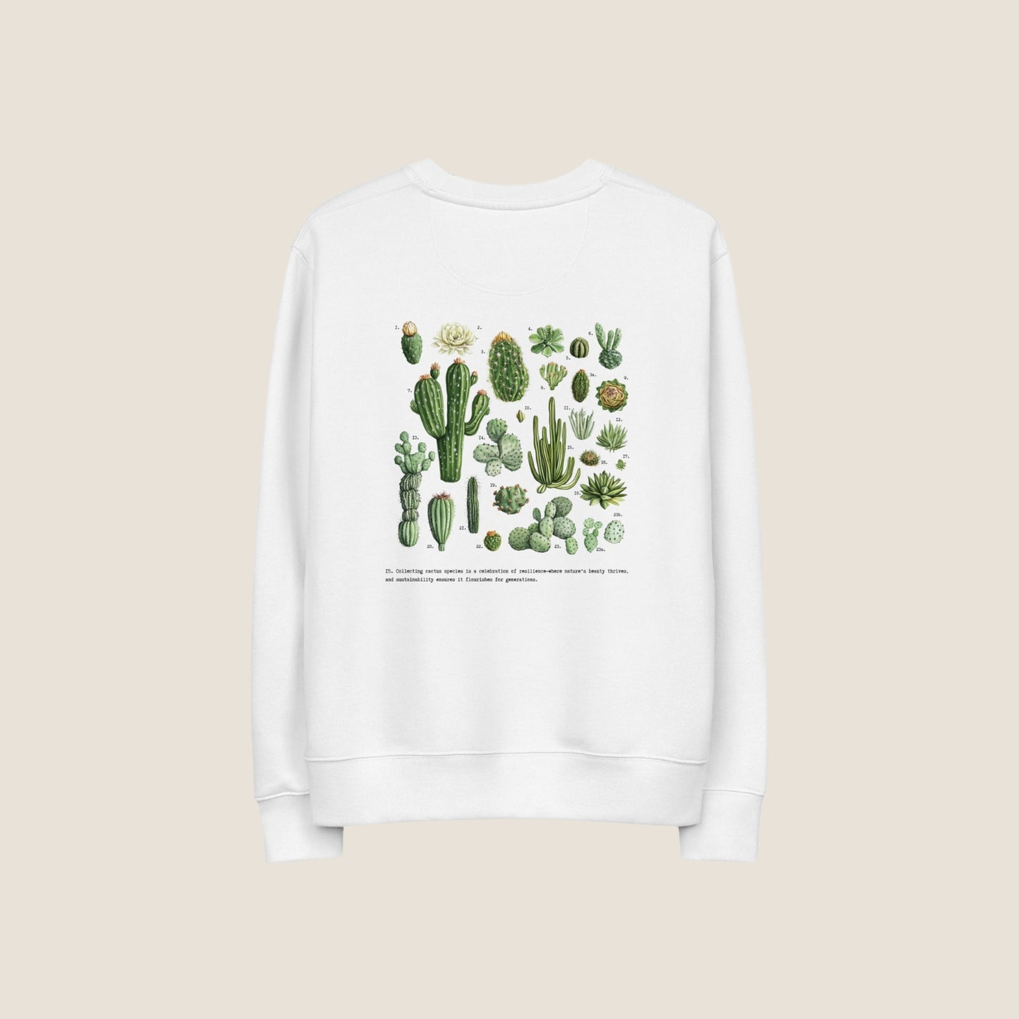 CACTUS Organic Sweater