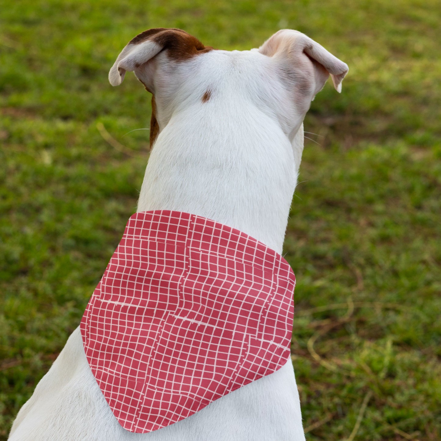 RED SQUARES Recycled Bandana